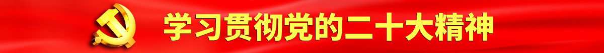 呃呃啊啊啊互操认真学习贯彻落实党的二十大会议精神